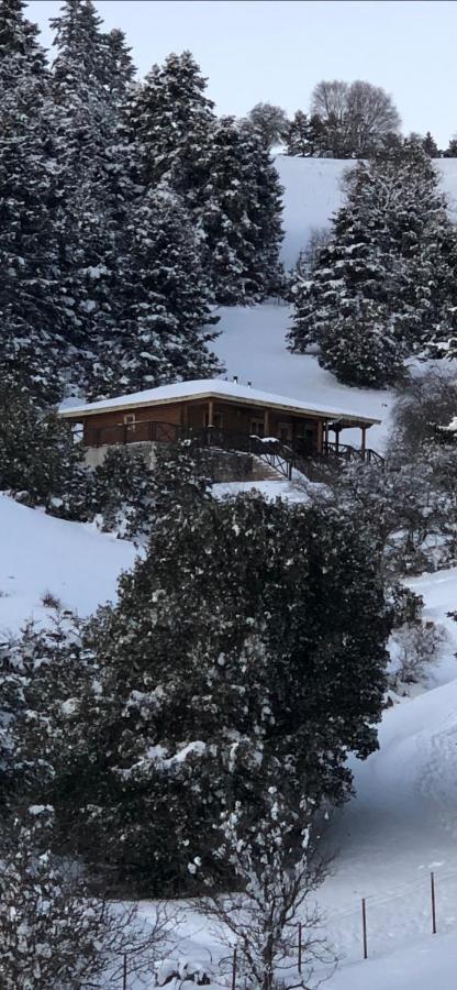 Shelter Villa Kalávrita Kültér fotó